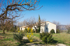 façade