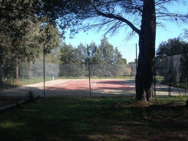 photo n°5