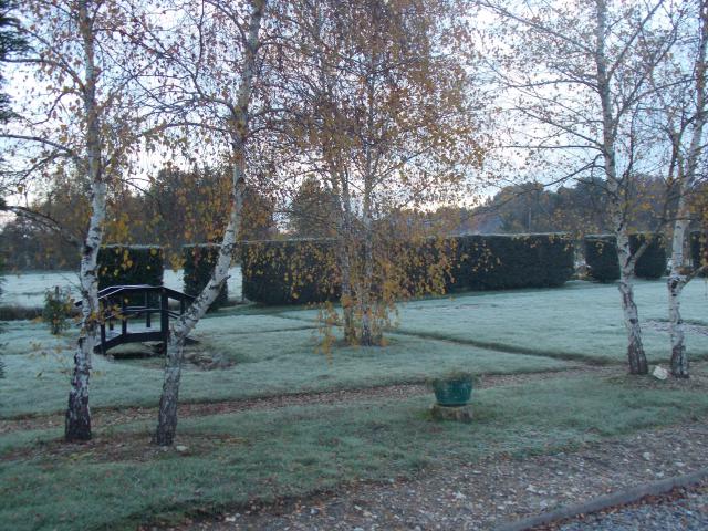 photo n°5