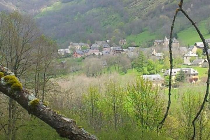 photo n°6