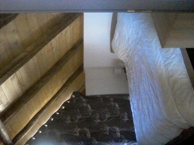 photo n°7