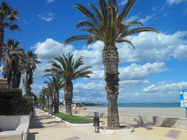 Location vacances MIAMI PLAYA - photo n°12 annonce P1009902