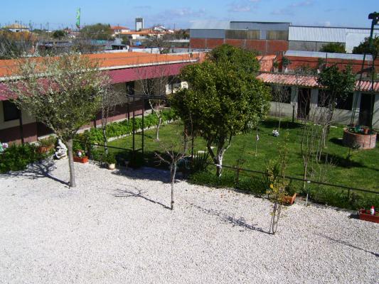 photo n°1