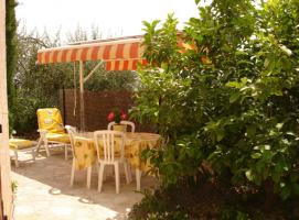 jardin