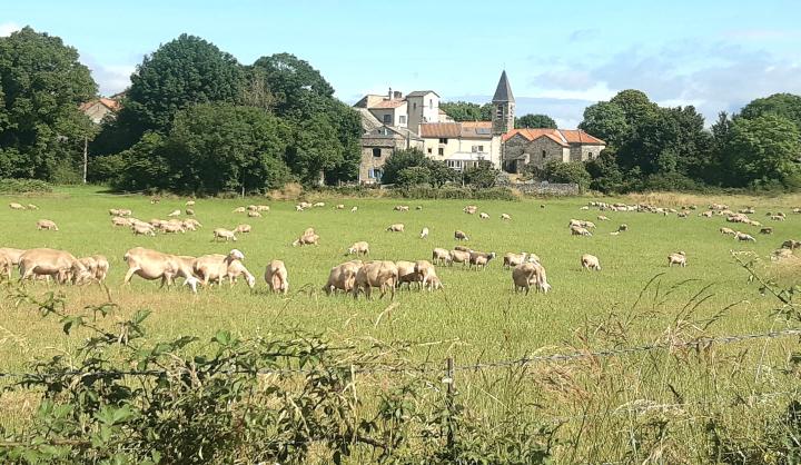 Photo n°10 location Gîte de vacances à LA COUVERTOIRADE (annonce réf. C1011200)