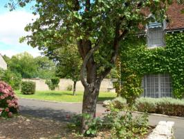 Photo n°3 location Appartement de vacances à CHENONCEAUX (annonce réf. C1013700)