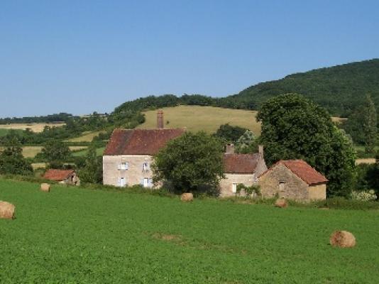 photo n°1