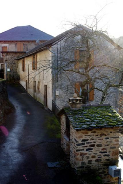 photo n°4