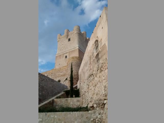 photo n°8
