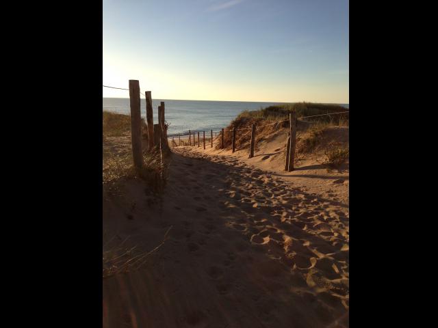 Location vacances SAINT HILAIRE DE RIEZ - photo n°6 annonce P1018502