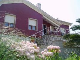 photo n°2