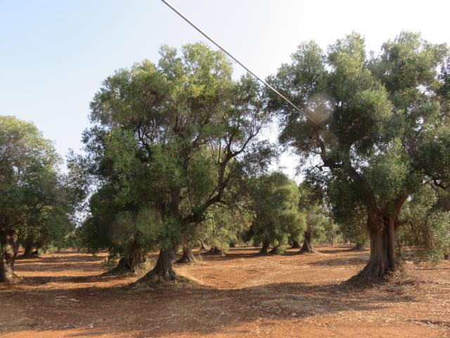 photo n°3