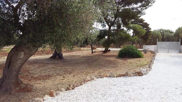 photo n°9