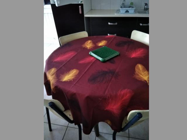 Photo n°4 location Gîte de vacances à PLOUGASNOU (annonce réf. P2112901)