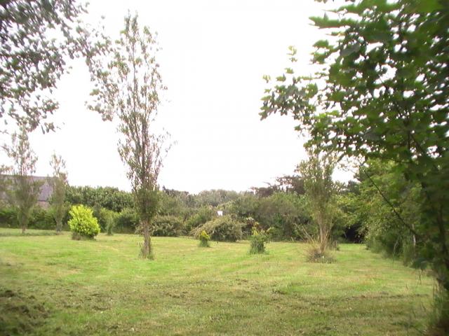 jardin
