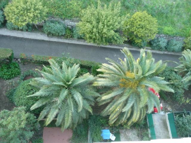 Photo n°10 location Appartement de vacances à MENTON (annonce réf. P2310600)