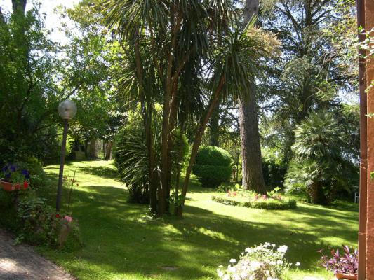 jardin