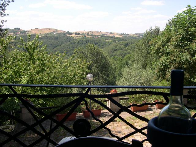 vue sur la forêt