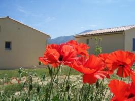 Location vacances MALAUCÈNE - photo n°4 annonce C1028403