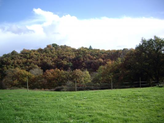 photo n°8