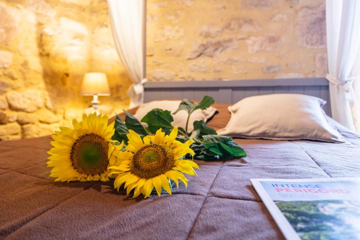 Photo 9 - Gîte 3 personnes à BEYNAC ET CAZENAC