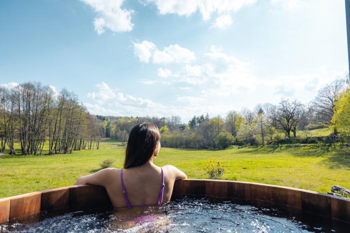 Photo n°2 location Chalet de vacances à CHAMPS SUR TARENTAINE MARCHAL (annonce réf. M0821500)