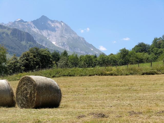 Photo 7 - Gîte 2 personnes à ARRENS MARSOUS