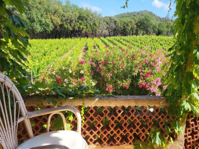 Location vacances GRIMAUD réf. P1628301