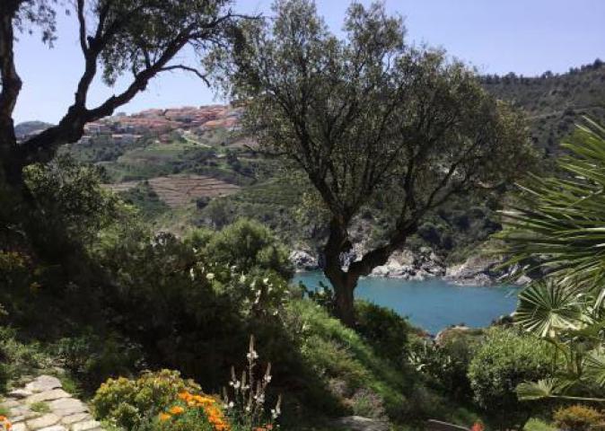 Location vacances CERBÈRE réf. P3126601