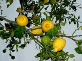 photo n°2