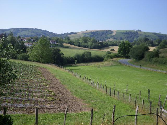vue sur la campagne