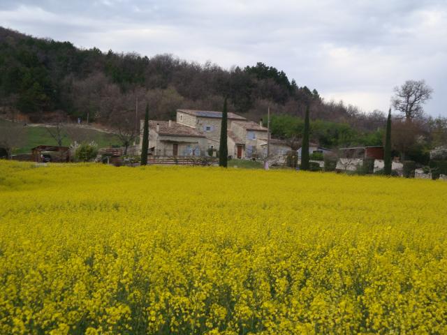 photo n°1