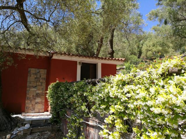 Photo 10 - Appartement 4 personnes à PISCIOTTA