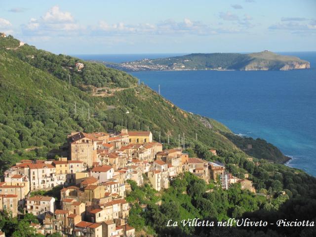 Photo 12 - Appartement 4 personnes à PISCIOTTA