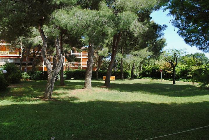 Location vacances BORMES LES MIMOSAS réf. P1338300