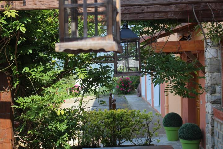 photo n°6