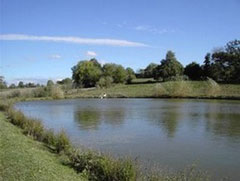 Photo n°2 location Gîte de vacances à BRESSUIRE (annonce réf. C0847900)