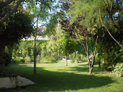 jardin