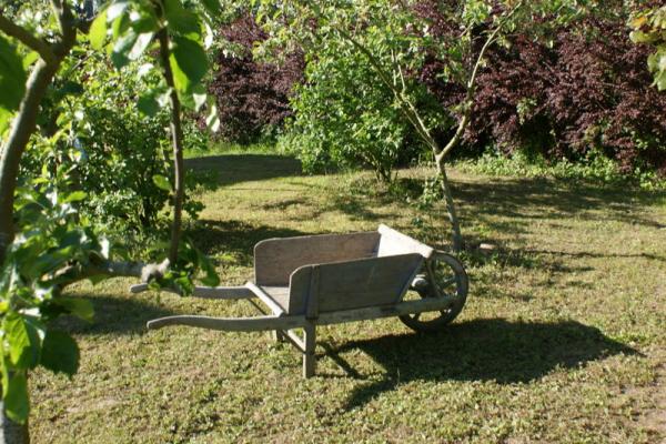 Photo 3 - Gîte 6 personnes à NIELLES LÈS ARDRES