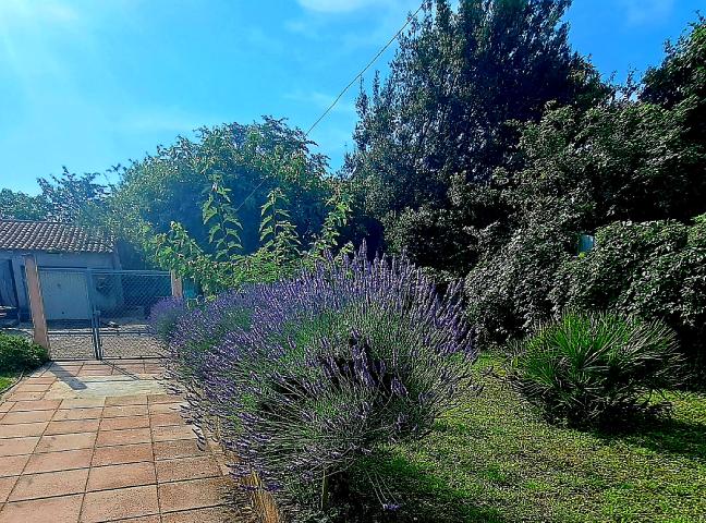Photo n°6 location Gîte de vacances à LÉZAN (annonce réf. C2843000)