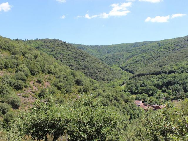 photo n°6