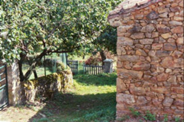 photo n°5