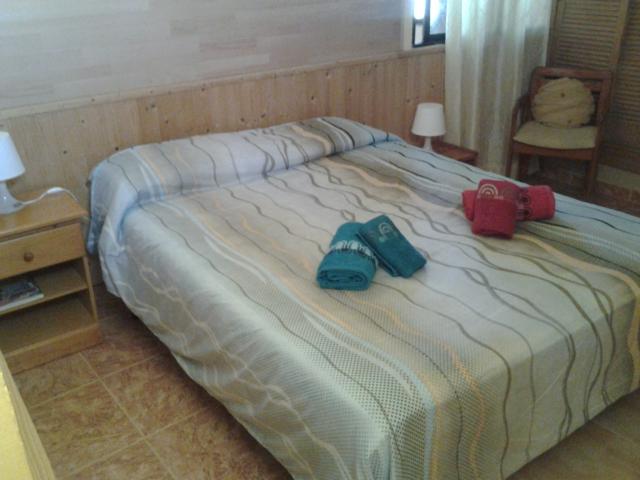 chambre avec un grand lit