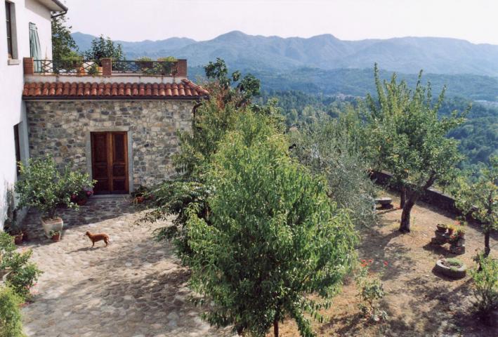 jardin