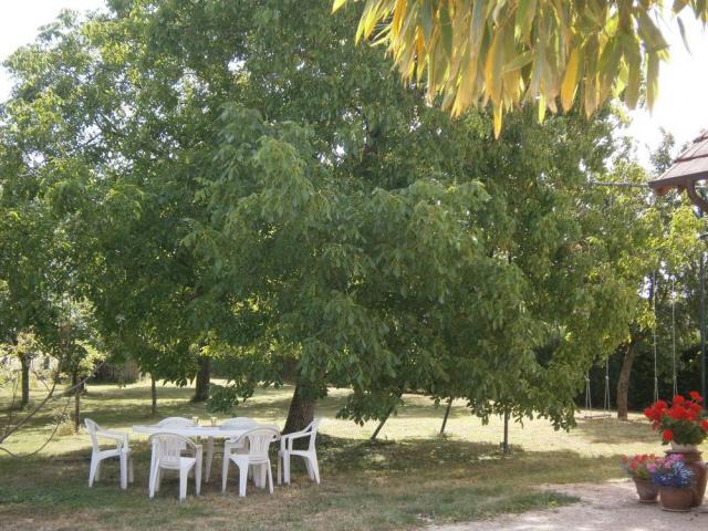 Photo n°8 location Gîte de vacances à SENNECEY LE GRAND (annonce réf. C2057100)