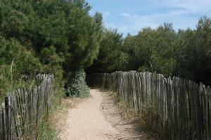 Photo n°1 location Mobil-home de vacances à HYERES PLAGE (annonce réf. P1058300)