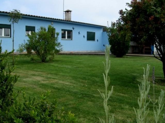 photo n°2