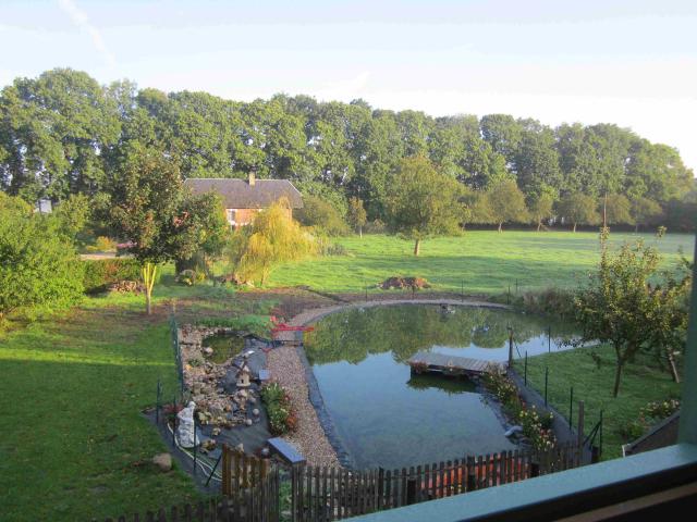 photo n°5