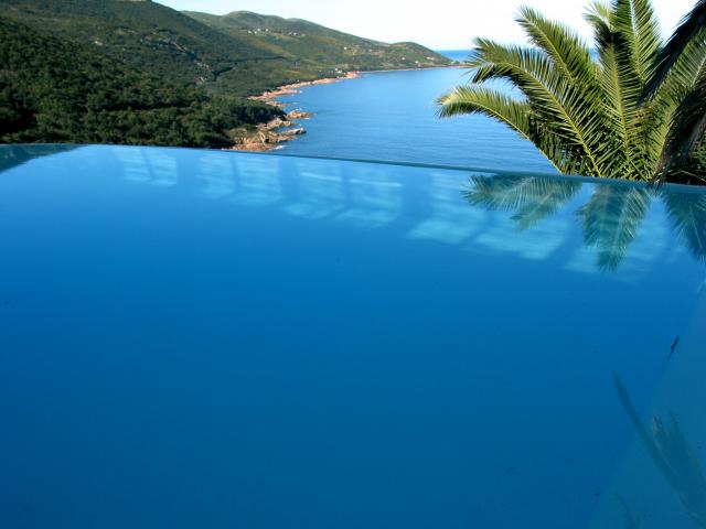 photo n°1
