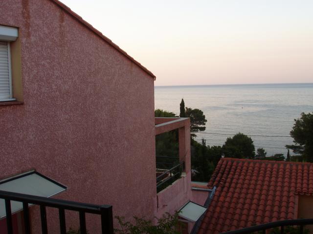 photo n°2